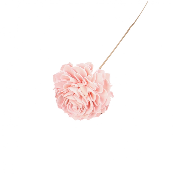 <h4>Bijsteker 50cm Dahlia 10cm</h4>