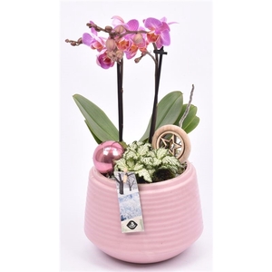 Keramiek ribbel pot roze 16.5cm