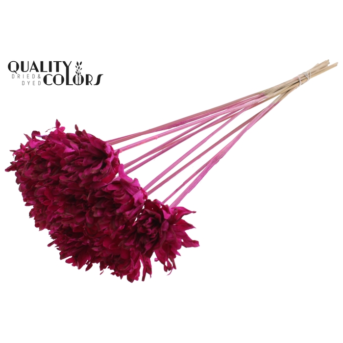 <h4>Shola Slice Pine 6cm on stem Lilac</h4>