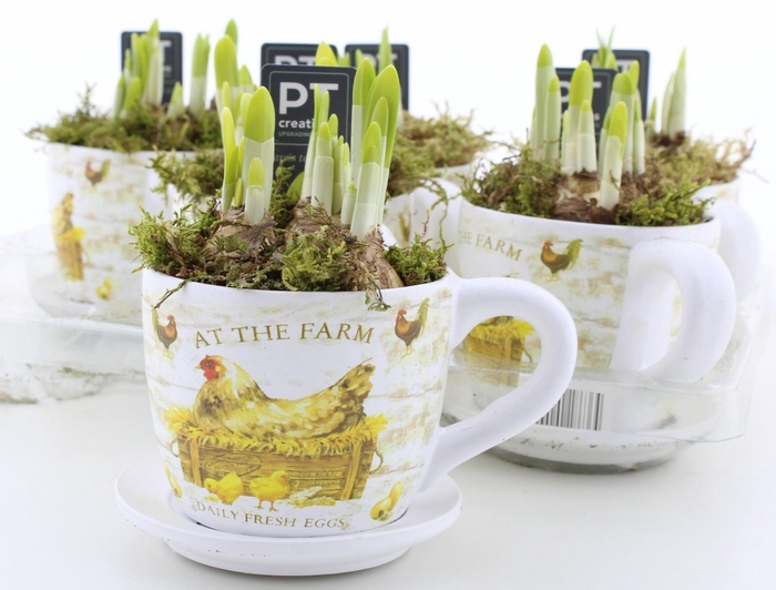 <h4>ARR N TETE A TETE</h4>