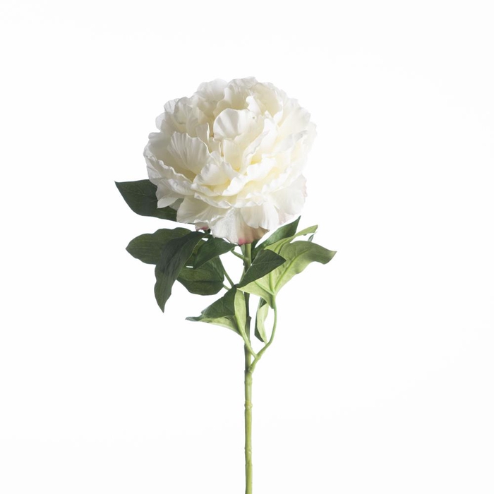 <h4>Af Paeonia Recycled L65cm Whit</h4>