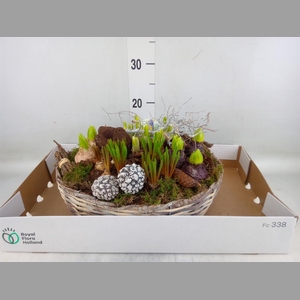 Arr.   Bol/Knolgewas L%