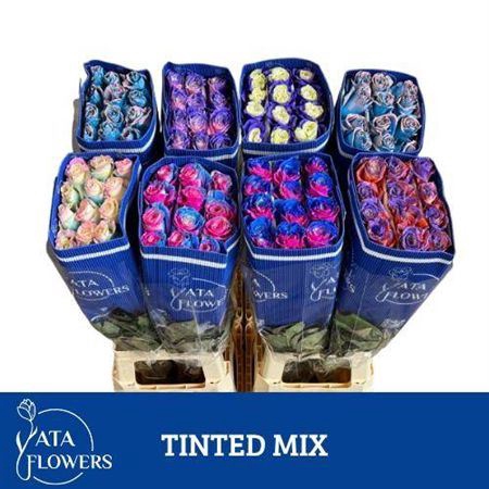 <h4>R Gr Tinted Mix</h4>