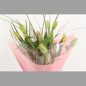 Boeket Mono Lelie Roze (3)