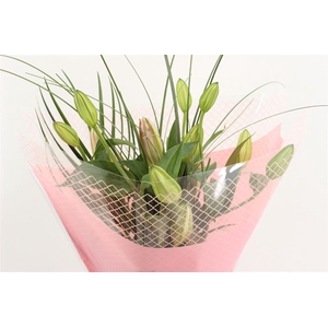 Boeket Mono Lelie Roze (3)