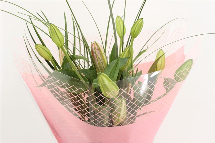 <h4>Boeket Mono Lelie Roze (3)</h4>