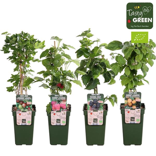 <h4>Fruit mix tray bio P19 exclusief</h4>