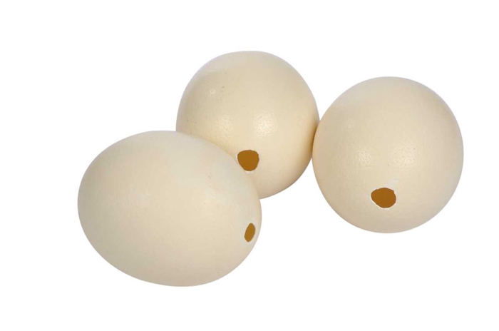 <h4>Deco Egg Ostrich Basic</h4>