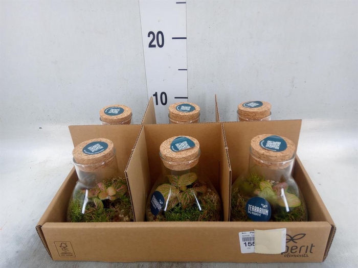<h4>Arr.    Planten  L%</h4>