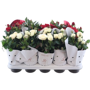 Ro Kordan Grande Gem