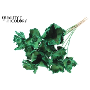 Palm cup on stem Bleached  Light Green