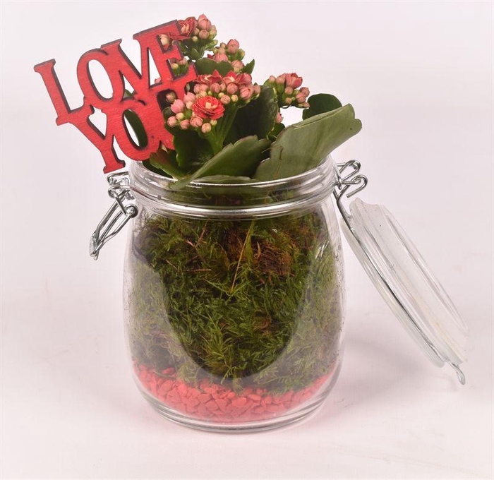 <h4>Glas weckpotje 11cm</h4>