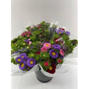 Callis Per Bos 50 Cm