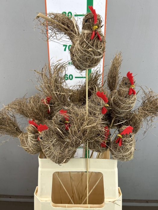 <h4>CHICKEN STRAW 17 CM OP STOK</h4>