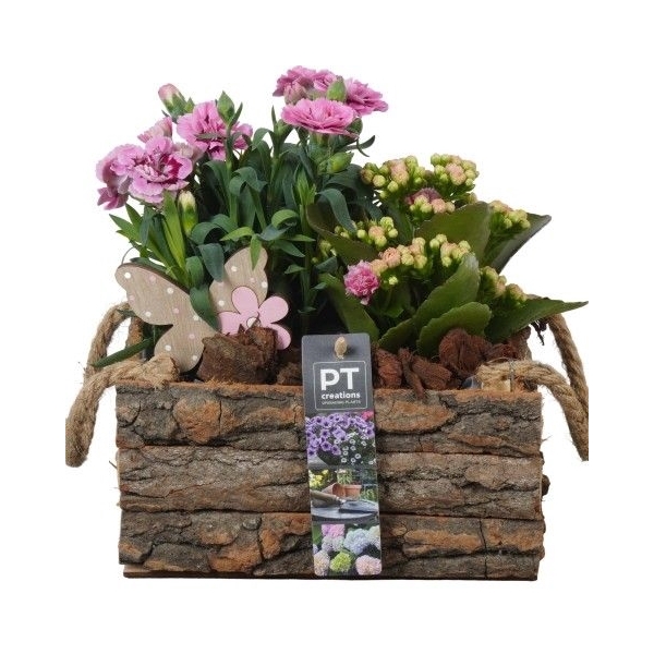 <h4>PTPP2563 Arrangement Patio Plants in houten bak</h4>