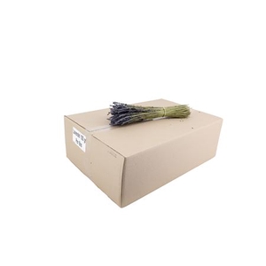 Housses 52x35x10cm OPP40 Kraftline rose
