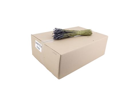 <h4>Housses 52x35x10cm OPP40 Kraftline rose</h4>
