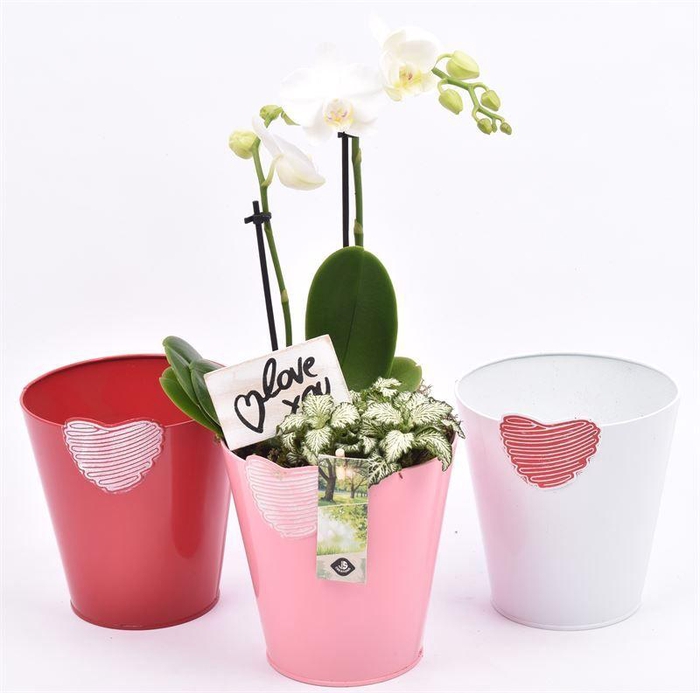 <h4>Zink pot bloemdecor k.mix 17cm</h4>