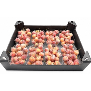 Waxmalus Gl Naturel