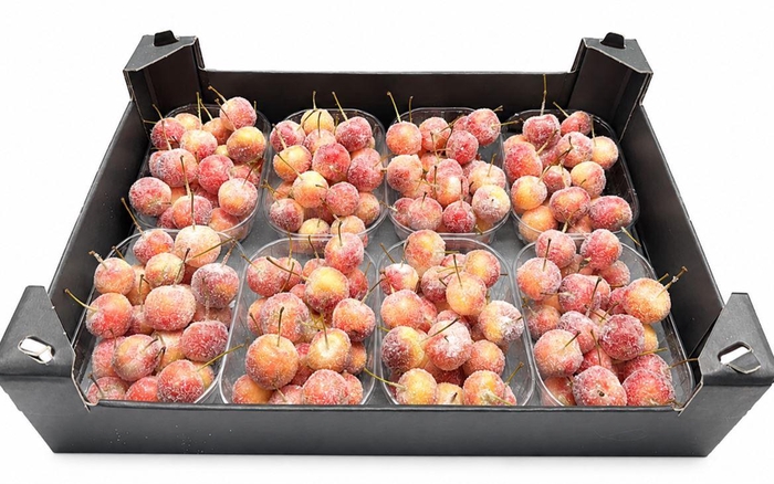 <h4>Waxmalus Gl Naturel</h4>
