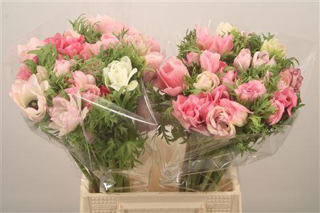 <h4>Anem Mistral Light Pink Super</h4>