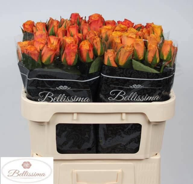 <h4>R GR CONFIDENTIAL</h4>