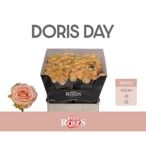 R GR DORIS DAY