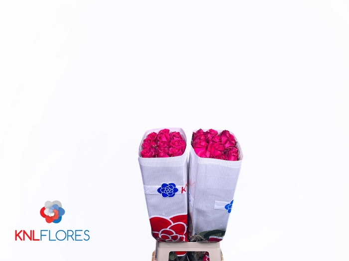 <h4>R GR FULL MONTY!</h4>