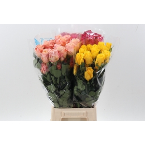 R Gr Gemengd 50cm Co