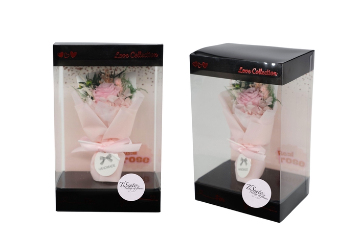 <h4>ARR ROSA POT H%</h4>