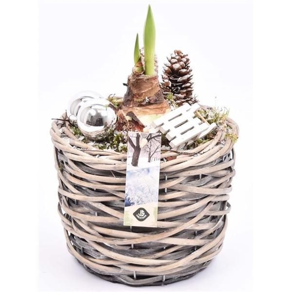 <h4>Wilg mand grijs 18cm</h4>