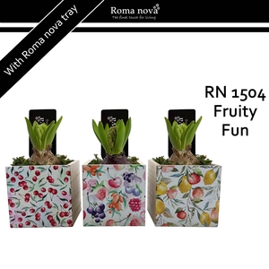 Hya Rom 1504 Fruity Fun
