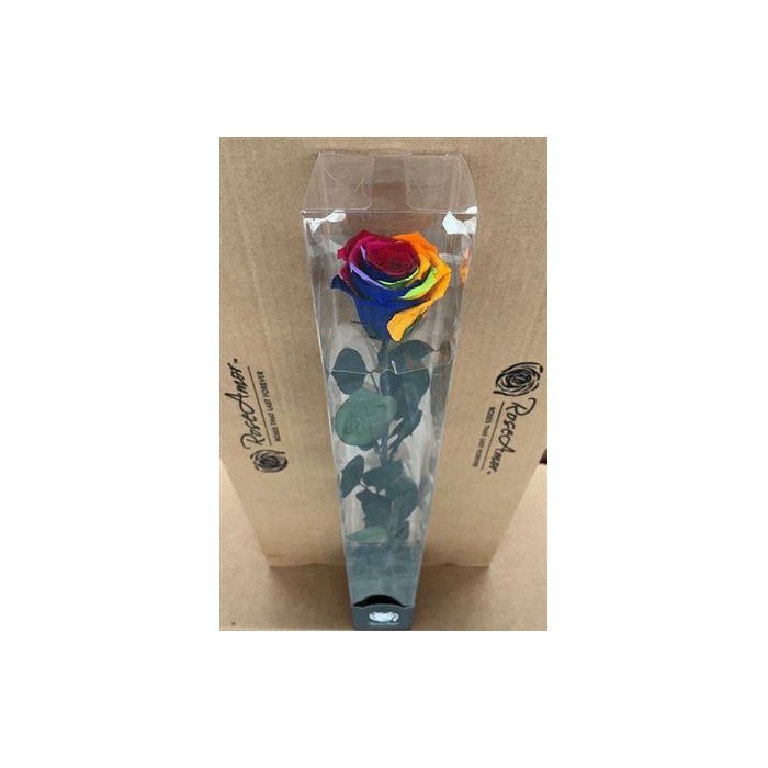 <h4>50cm Stem Rainbow Red02</h4>