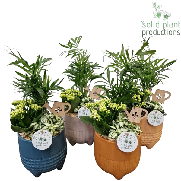 <h4>CH025 Liam Pot</h4>