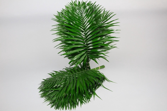 <h4>TeePee (air)</h4>