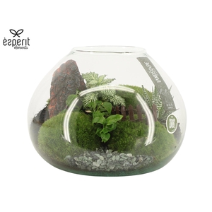 90762: Landscape arrangement