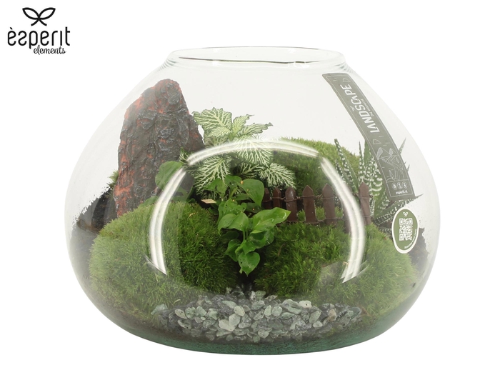 <h4>90762: Landscape arrangement</h4>