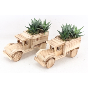 arr3 SN - Hout vrachtwagen 250/5