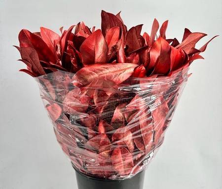 <h4>Magnolia Painted Luxury Red</h4>