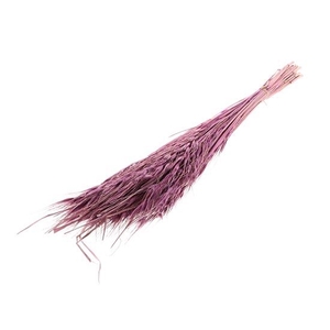 Bunch Avena Salvaje Slv 100g