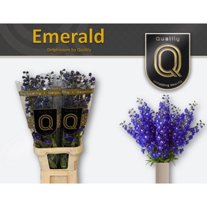 DELPH DU EMERALD 100CM X40
