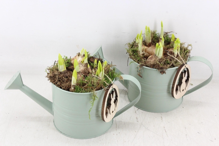 <h4>arr4 Narcis MB - Zink gieter kl. mint 338/6</h4>