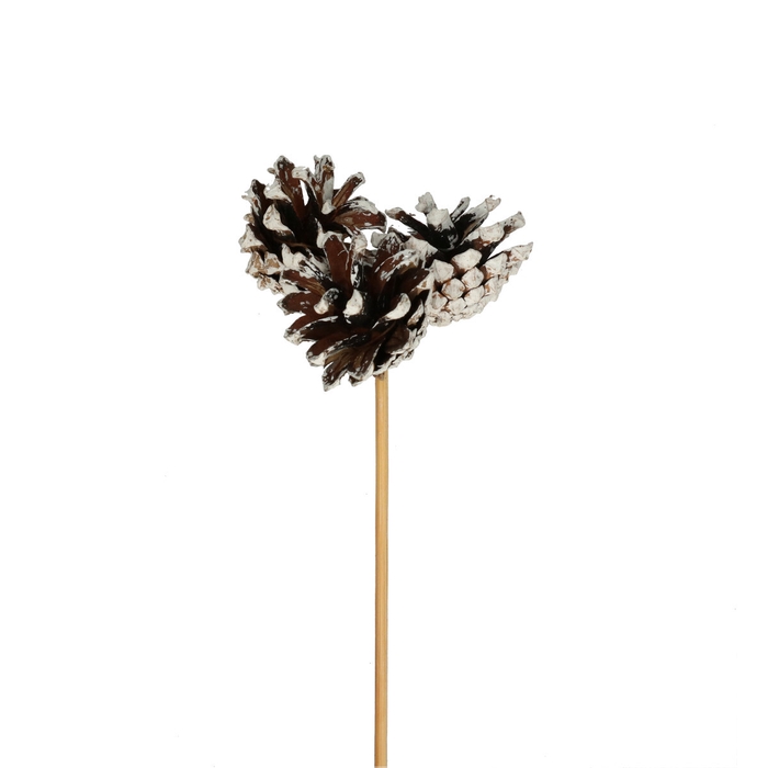 Christmas sticks 50cm Pine cone 3.5cm