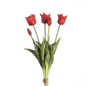 AF Tulip Bundle x5 L45cm Red