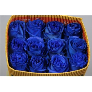 R Gr Blue Moon Ec