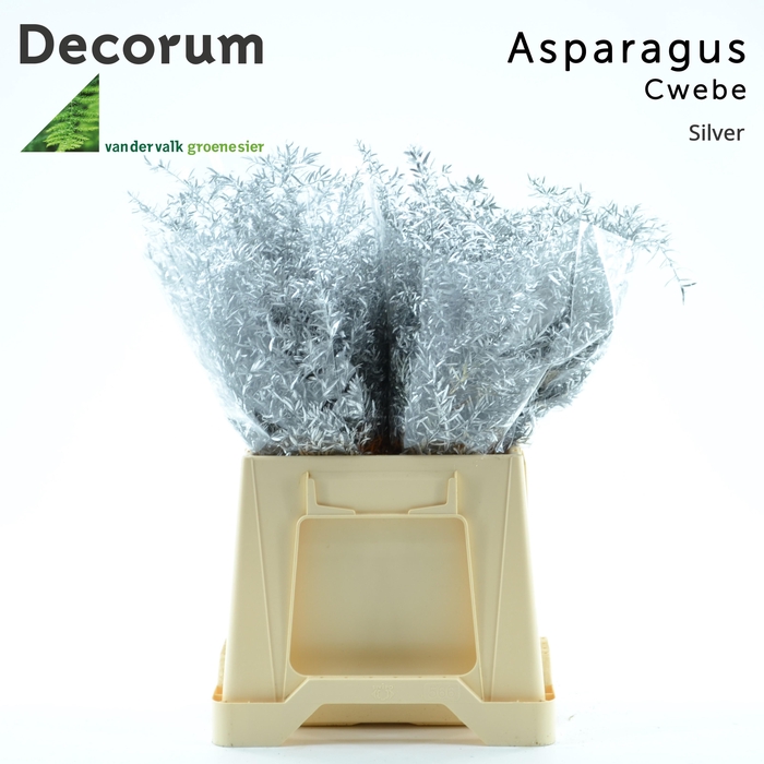 <h4>ASP DE CWEBE KLB  H%</h4>