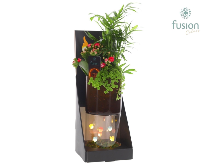 <h4>Glas tube Led planter groot met Arrangement</h4>