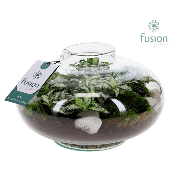 <h4>Green Bottle® Luna Large met Fittonia</h4>