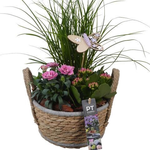 <h4>PTPP6939 Arrangement Patio in rieten mand</h4>