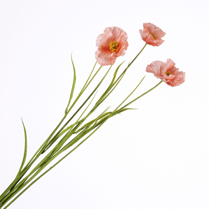 <h4>Papaver Spray Pink FL440340PNK</h4>